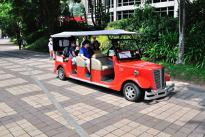 Electric cart vehicle