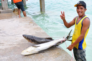 Fisherman has brought the kingfish to the New Cocohut restaurant