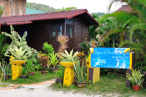 Bayu Dive Lodge