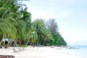 Beach of Coral View Island Resort