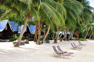 Sunbeds on the beach of Coral View Island Resort