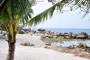 This beach with white sand and low palm trees is close to Coral View Island Resort