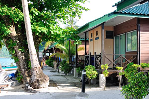 Footpath along the first line of Tuna Bay Island Resort cottages
