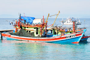 Fishing boat with the number TRF365