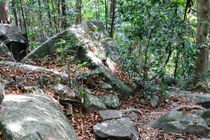 Be careful while you are on the jungle trekking. Watch out for low branches and loose rocks