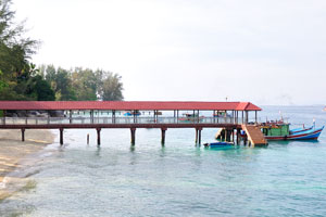 Teluk North has a lot of work on its pier, there are many fishing boats around the pier
