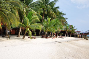 Beach of New Cocohut Chalet is the starting place of the western jungle trek