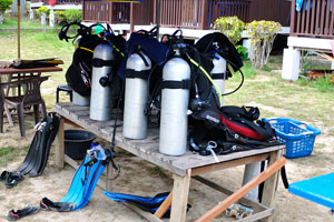 Somebodies at Mama's Chalet are going to scuba diving
