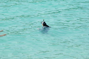 Asian woman in the black headscarf is snorkeling in the emerald water