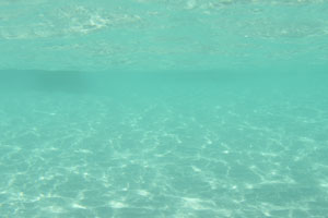 Crystal clear water on the Turtle beach