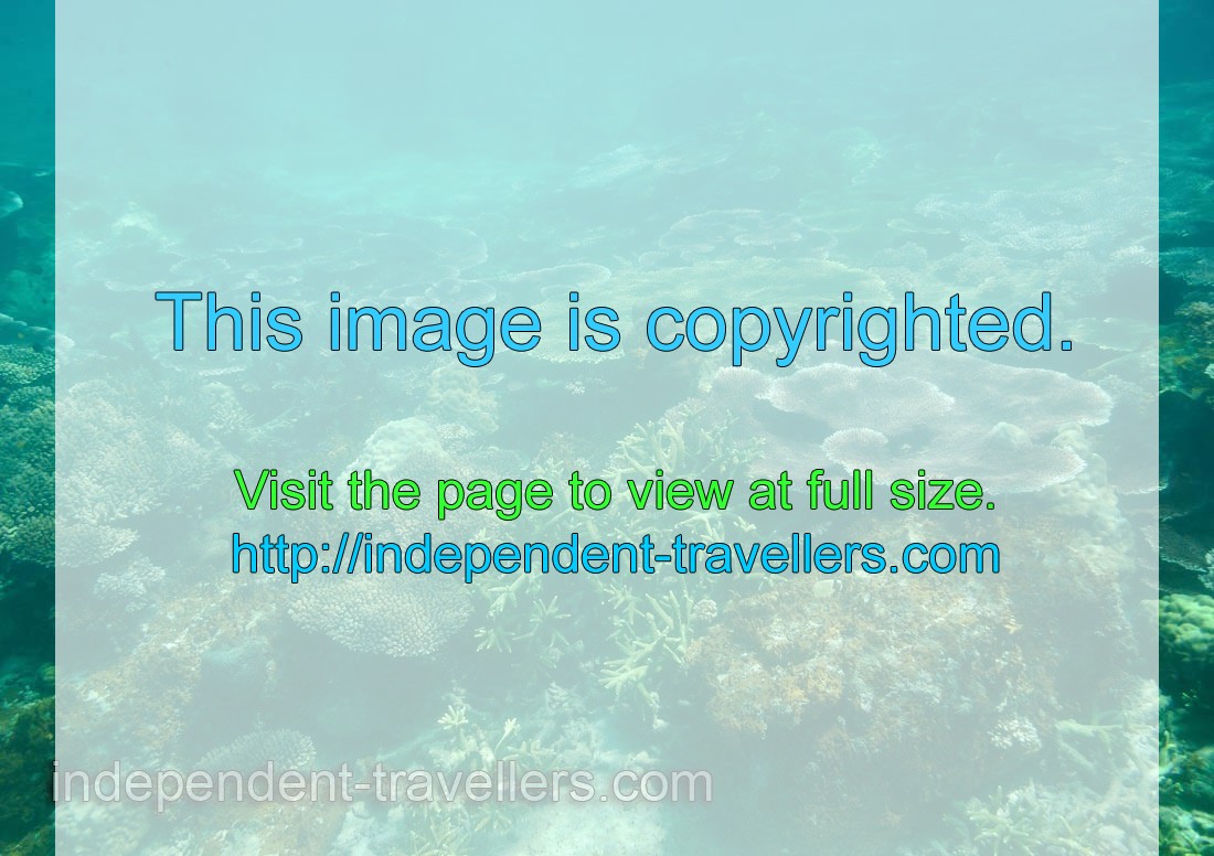 Underwater landscape of the Serengeh island