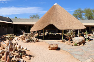The territory of the Solitaire Lodge is decorated with succulent plants