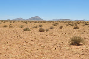 This deserted landscape surrounds C14 road at the following geo coordinates: -23.652940, 15.854267
