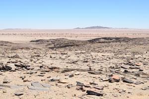 The desert as seen from the Picnic Spot and Viewpoint