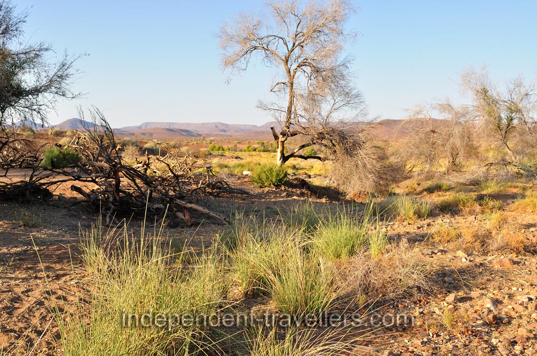 This landscape surrounds the camping pitch which we rented at Palm Camp