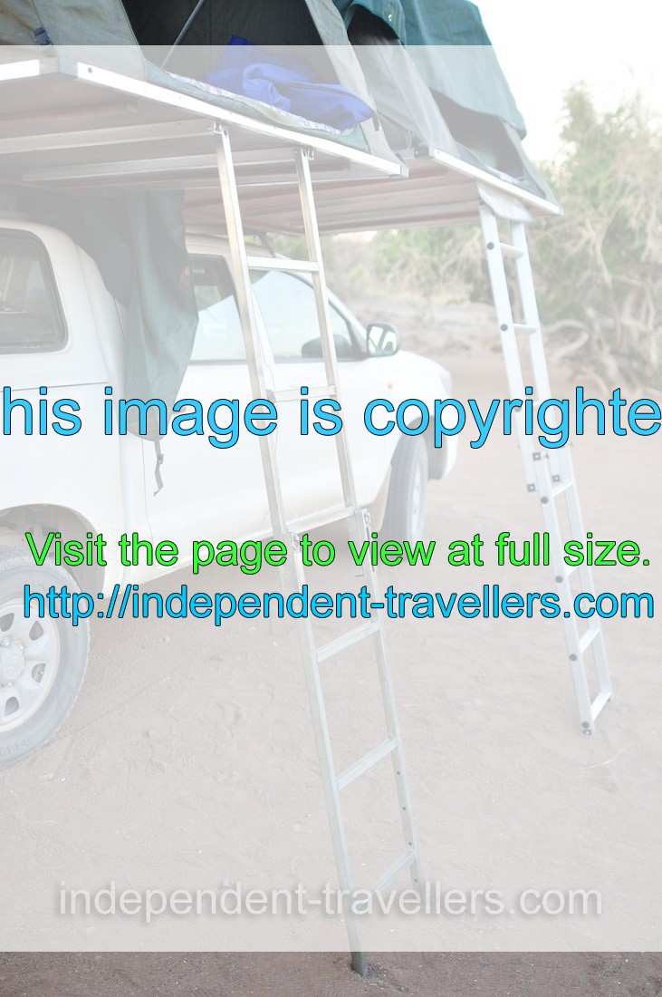 Two comfortable ladders lead to the car roof top tents which are fully unfolded at the camping pitch in Palm Camp