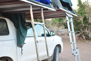 Two comfortable ladders lead to the car roof top tents which are fully unfolded at the camping pitch in Palm Camp