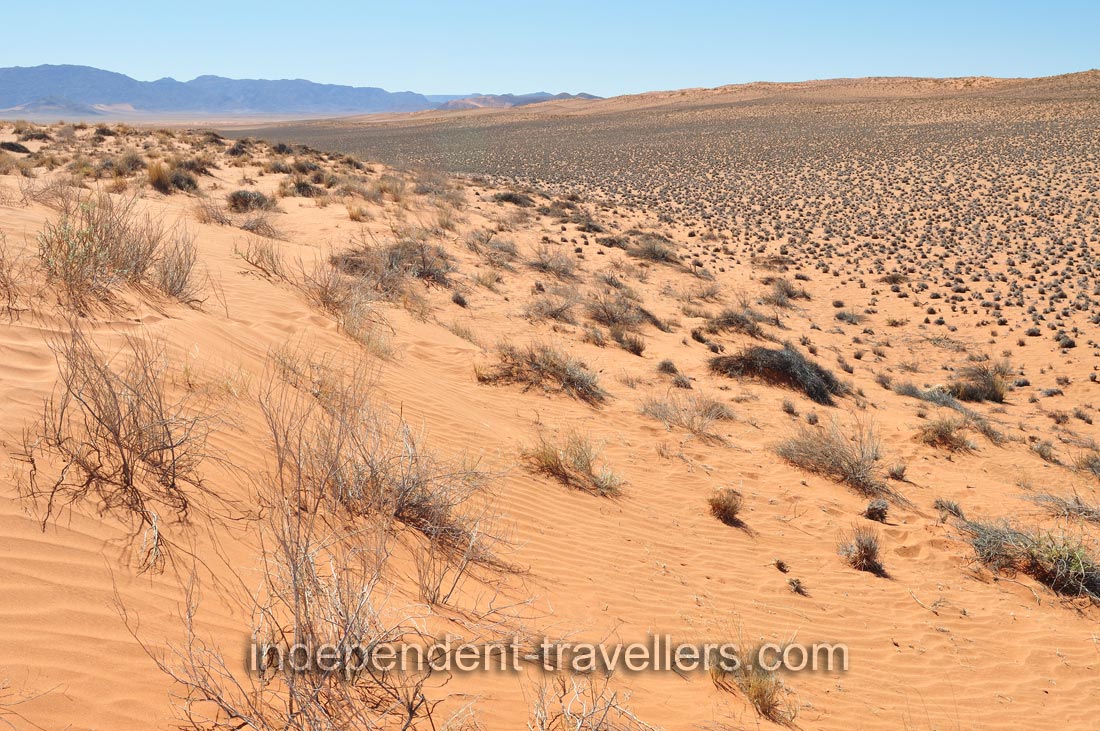 This dune is situated very close to Farm Gunsbewys
