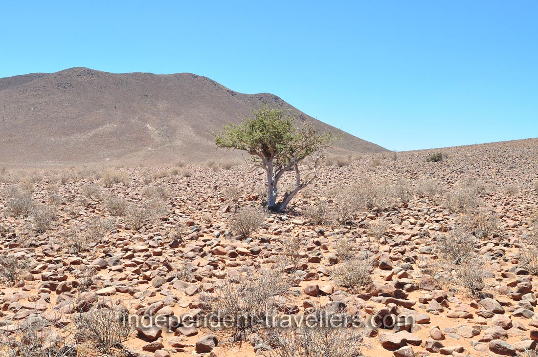 This kind of stone surface surrounds the Tiras Mountains