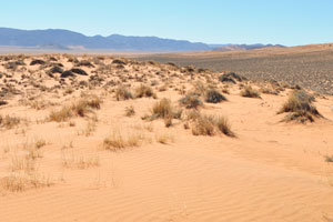 This desert landscape has the following geo coordinates: -26.218519, 16.442193