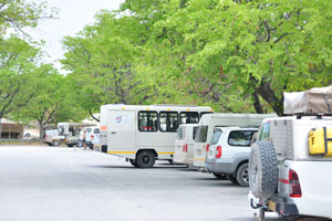 A series of safari vehicles are parked at Halali Campground