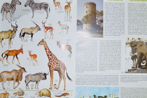 The resorts of Etosha National Park are described in the booklet of Etosha National Park
