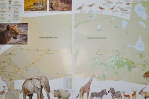 Birds of the park including the Namaqua sandgrouse are depicted on the map of Etosha National Park
