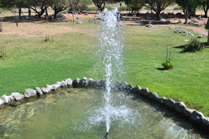 A garden fountain
