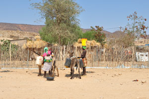 Women and donkeys are on a street with mountains on the background