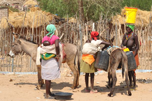 Colourful African women and their donkeys are on the street