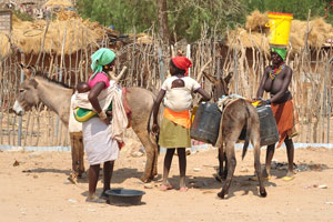 African women with children on their backs are loading donkeys with water
