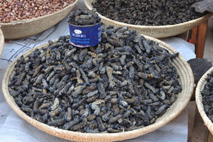 Dried caterpillars are for sale at Dr. Frans Aupa Indongo Open Market