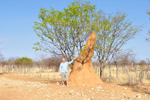 It is me standing beside the termite mound at the following geo coordinates: -18.15481, 14.27186