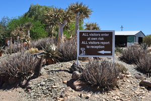 An inscription in Quivertree Forest Rest Camp reads “All visitors enter at own risk, all visitors report to reception”