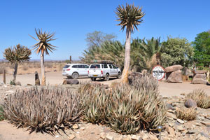 This parking area belongs to Quivertree Forest Rest Camp