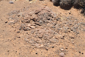 This is the brick-coloured soil of the Quiver Tree Forest