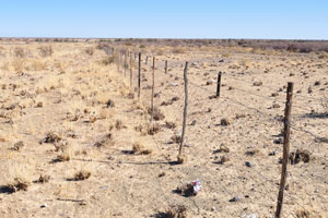 Long fences are everywhere along the road from Windhoek to Keetmanshoop