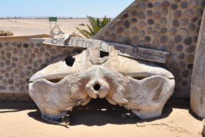The huge vertebra is placed at Ugabmund Gate