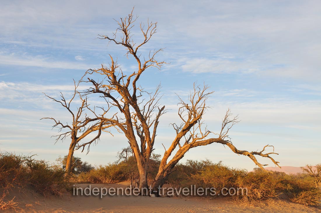 Sossusvlei is a &ldquo;must-see&rdquo; tourist destination