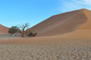 The name of Dune 45 comes from the fact that it is at the 45th kilometre from Sesriem park gate