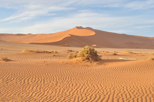 This dune is located near Sossusvlei parking lot
