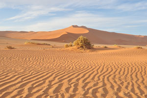 The Sossusvlei area is characterized by high sand dunes of vivid pink-to-orange color