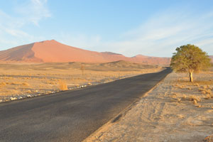 This asphalt road connects Sossusvlei pan and Sesriem Campsite