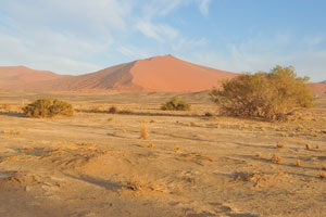 Sossusvlei's mountainous dunes lie at the end of the erosional trough formed by the Tsauchab river
