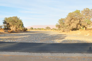 The asphalt road intersects the dry bed of the Tsauchab river