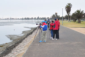 Photographers from different countries have arrived at Lagoon Promenade Road to photograph flamingos