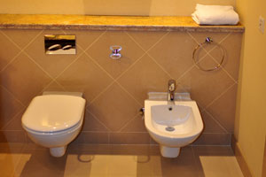 The toilet and bidet are inside the bathroom in the hotel's room where I stayed in Doha