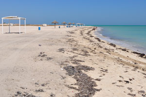 Al Ghariya Open Beach has the following geo coordinates: 26.072167, 51.359139