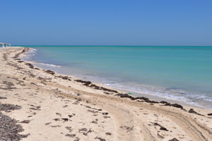 Al Ghariya Open Beach is an opportunity to relax and reward yourself with a swim in the turquoise water