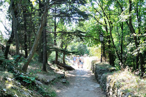 A fascinating sunny footpath connects the Cesta fortress to the Montale tower